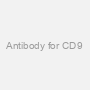 Antibody for CD9